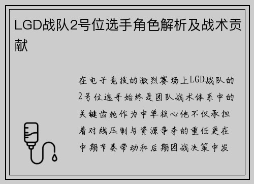 LGD战队2号位选手角色解析及战术贡献